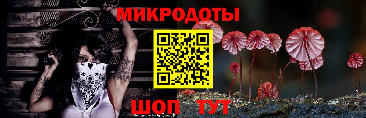 Псилоцибиновые грибы прущие грибы  Вход с VPN  Качканар  Псилоцибиновые грибы прущие грибы 